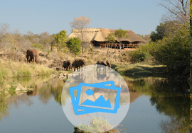 Elephants drinking at the waterhole in front of the lodge