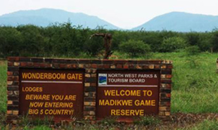 Madikwe Game Reserve