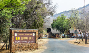 Bakubang gate at the Pilanesberg Game Reserve