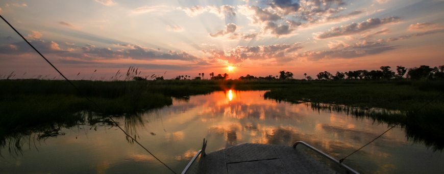 Okavango Delta at Sunset from a boat