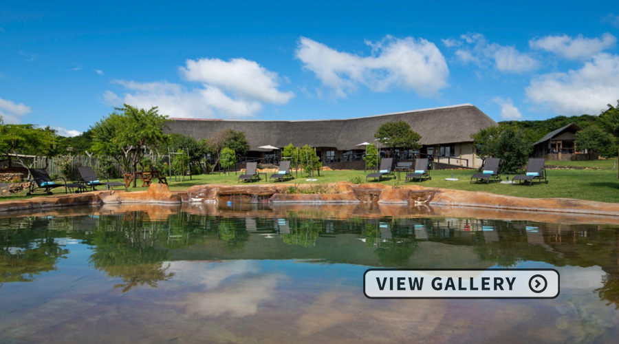 Swimming pool in front of the lodge