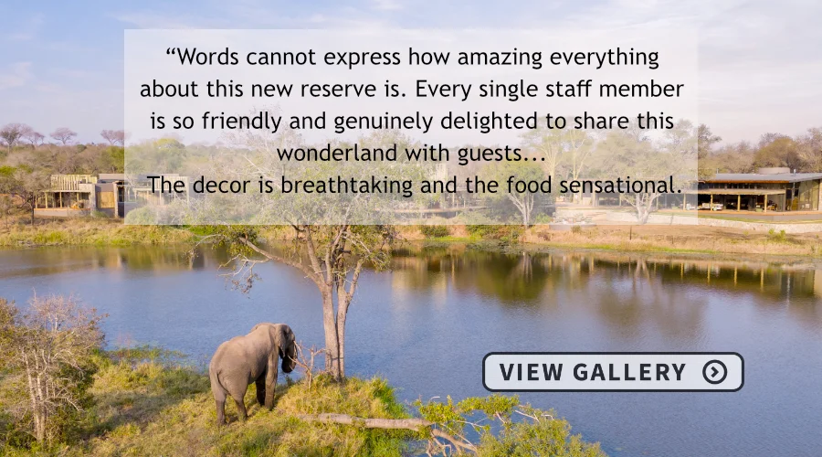 Elephant standing under a tree looking over the water at the lodge buildings on the far side